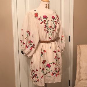 Zara parrot embroidery design dress